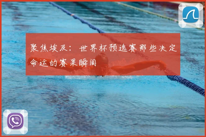 聚焦埃及：世界杯预选赛那些决定命运的赛果瞬间