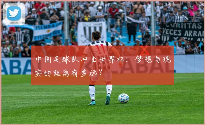 中国足球队冲击世界杯:梦想与现实的距离有多远?