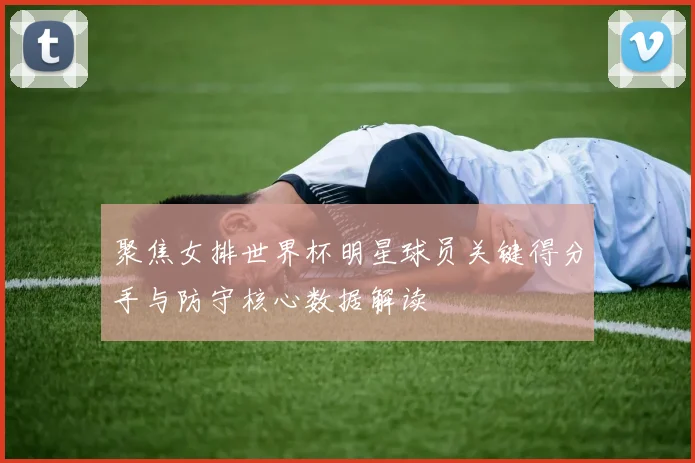 聚焦女排世界杯明星球员关键得分手与防守核心数据解读