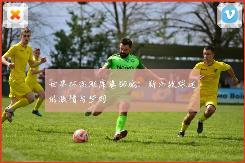 世界杯热潮席卷狮城：新加坡球迷的激情与梦想