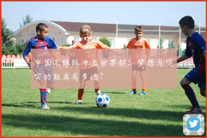 中国足球队冲击世界杯:梦想与现实的距离有多远?