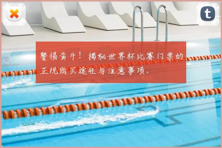 警惕黄牛！揭秘世界杯比赛门票的正规购买途径与注意事项。
