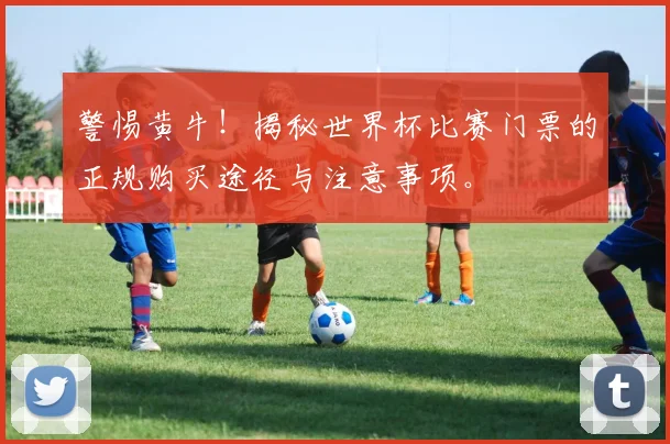 警惕黄牛！揭秘世界杯比赛门票的正规购买途径与注意事项。